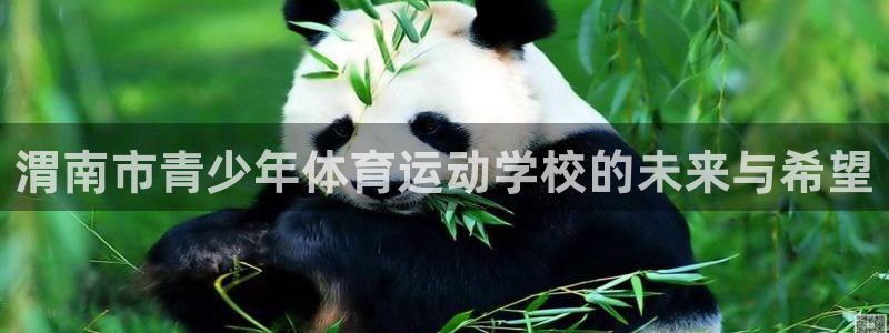 vsport体育官网下载平台APP:渭南市青少年体育运动学校