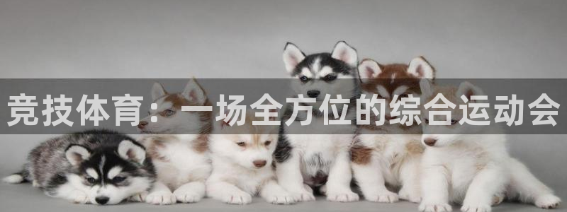 vsport体育官网下载是干嘛的公司:竞技体育:一场全方位的