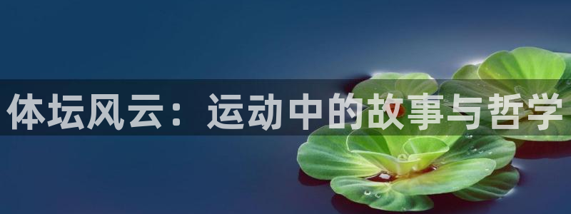 vsport体育官方正版app娱乐首页网站大全:体坛风云:运