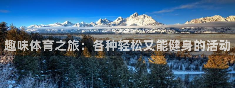 vsport体育官方正版app五金厂:趣味体育之旅:各种轻松