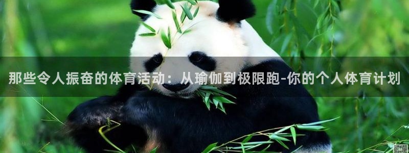 vsport体育官网下载平台:那些令人振奋的体育活动:从瑜伽